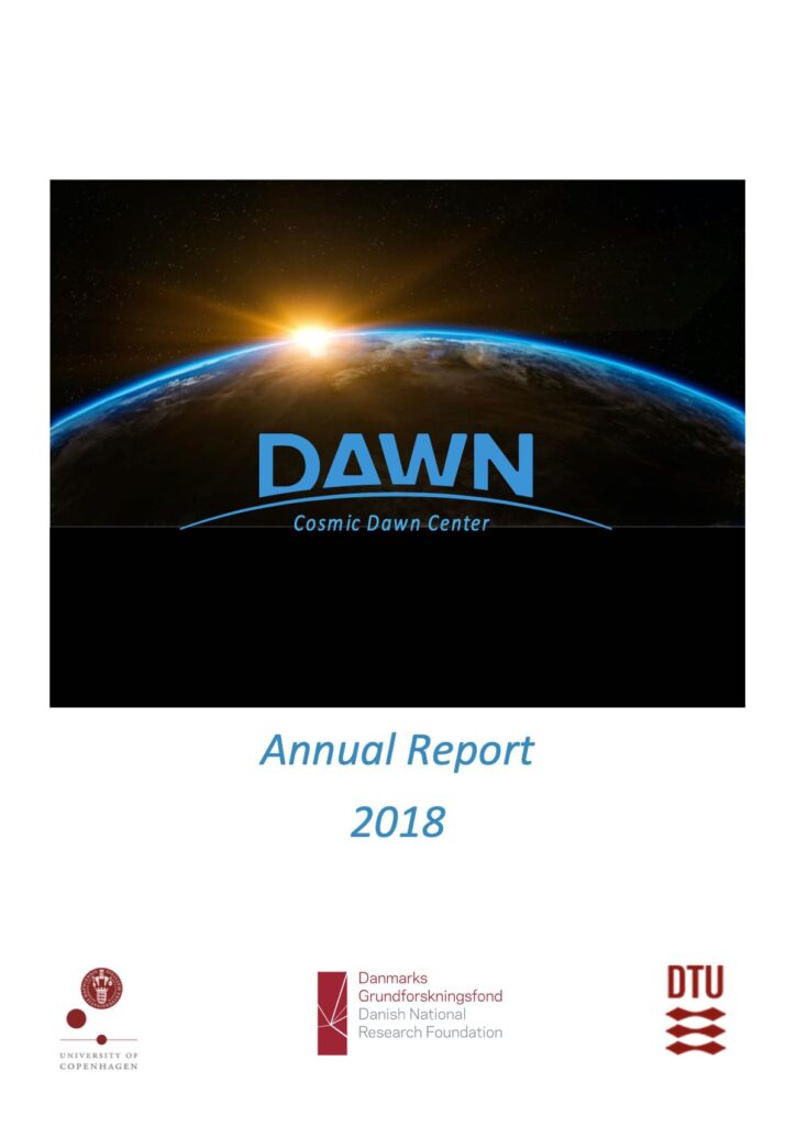 dnrf-report-2018-cover
